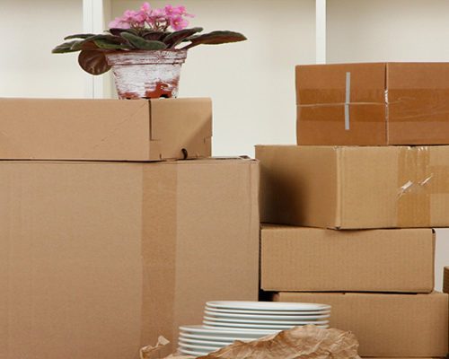 Sutherland Shire Removalists Stress Free Southside Removals Storage